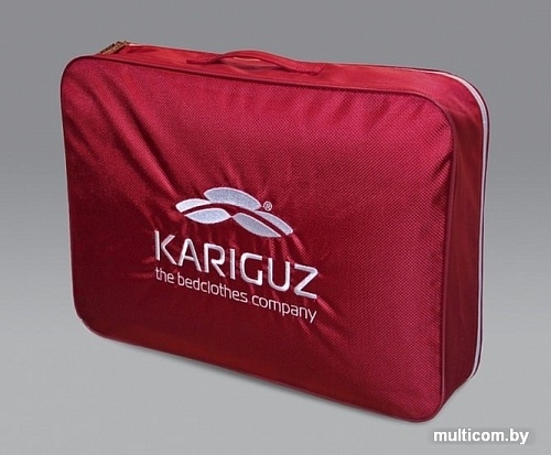 Спальная подушка Kariguz Голден Бабл ГБ10-5 (68x68 см)