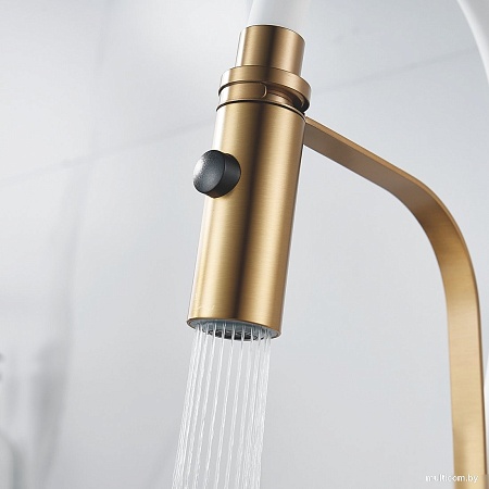 Смеситель Shevanik S943G-1