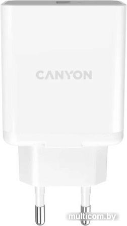 Сетевое зарядное Canyon H-36-01