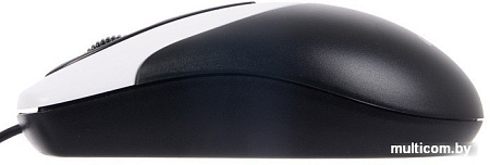 Мышь Genius NetScroll 100 V2 (черный)