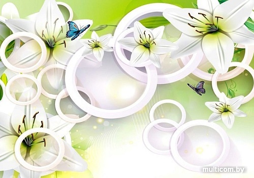 Фотообои Citydecor Круги 3D 200x140