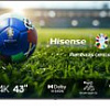 Телевизор Hisense 43A6N EU
