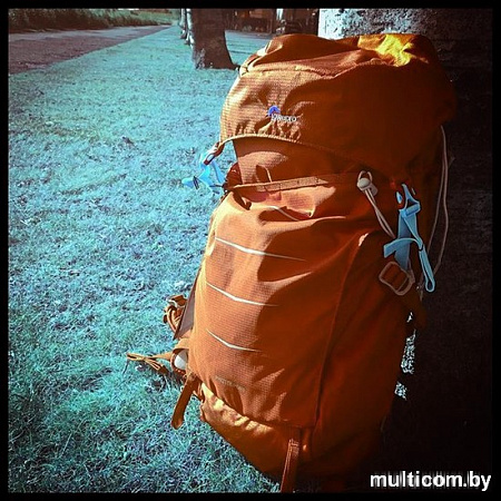 Рюкзак Lowepro Photo Sport BP 200 AW II (blue)