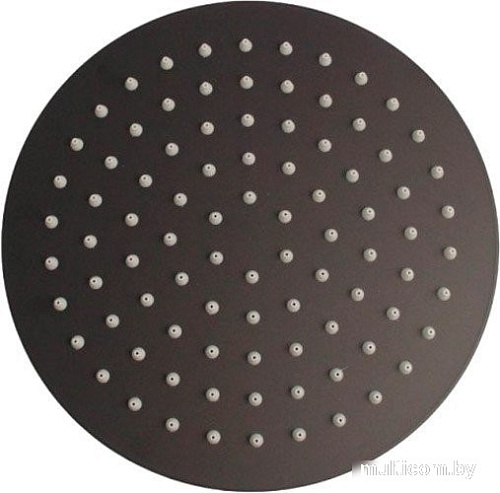 Верхний душ Ledeme L15B