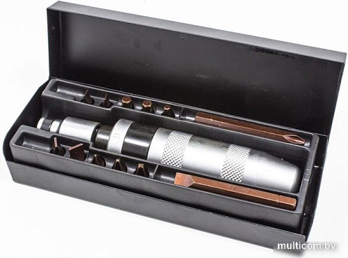 Набор отвертка с битами RockForce RF-5064C (14 предметов)