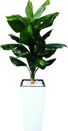 Искусственное растение Forgarden Диффенбахия BN11130