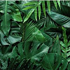 Фотообои Vimala Объемные листья 2 270x400