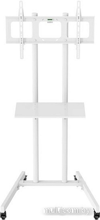 Кронштейн CACTUS CS-ST04WT