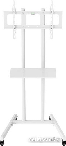 Кронштейн CACTUS CS-ST04WT