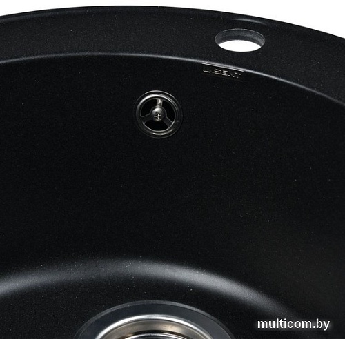 Кухонная мойка Wisent 480-25WR (с сифоном GER013)