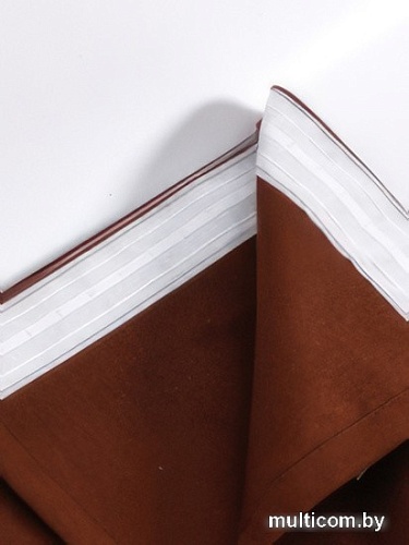 Комплект штор Nadzejka Элегия Hg.EG-4/3 4.5x2.7 м (4 шт, бежевый/коричневый)