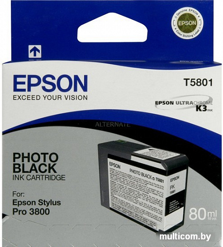 Картридж Epson C13T580100