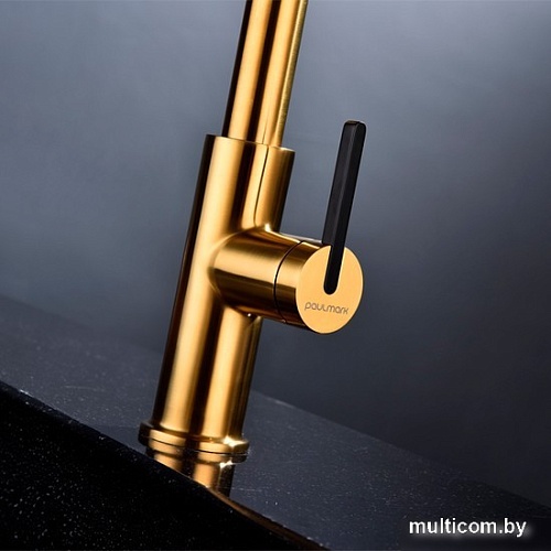 Смеситель Paulmark Tornado TO213402-BG (брашированное золото)