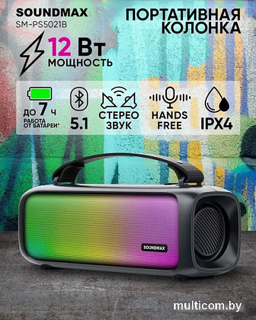 Беспроводная колонка Soundmax SM-PS5021B (черный)