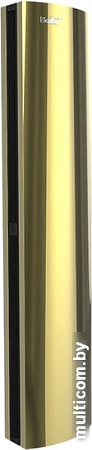 Тепловая завеса Ballu BHC-D25-T24-MG
