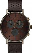 Наручные часы Timex TW2R80100