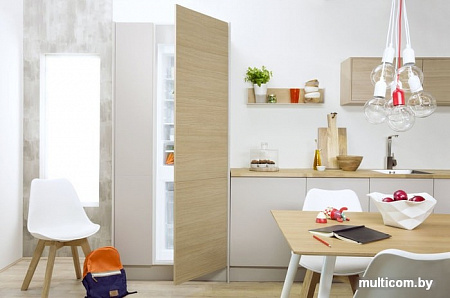 Холодильник Indesit BIN18A1DIF