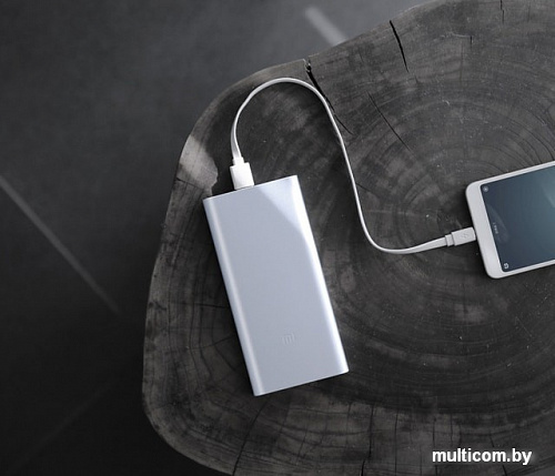 Портативное зарядное устройство Xiaomi Mi Power Bank 2i 10000mAh (серебристый)