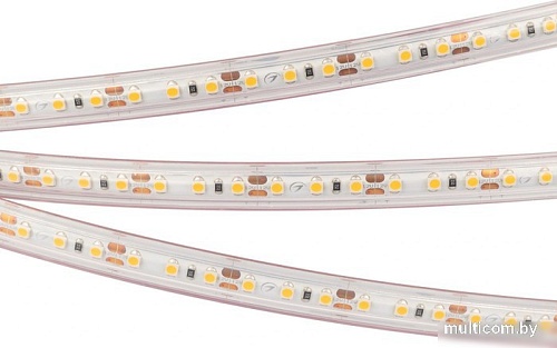 Светодиодная лента Arlight RTW-PS-A120-10mm 12V Warm3000 022320(2)