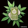 Nesti Dante Мыло твердое Luxury Hemp Soap 250 г