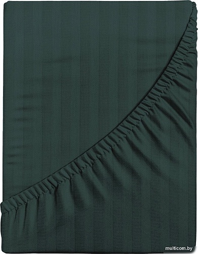 Постельное белье Verossa Stripe Dark green VRT рез 200/200/30 70274 ST13