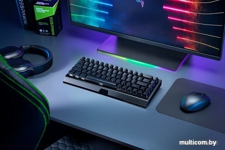 Клавиатура Razer Blackwidow V3 Mini HyperSpeed Green Switch
