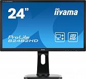 Монитор Iiyama ProLite B2482HD-B1