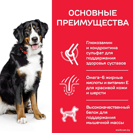 Сухой корм для собак Hill's SP для взрослых собак крупных пород, с ягненком и рисом 604373 14 кг