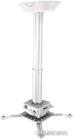 Кронштейн Wize Pro PRG11A-W (белый)