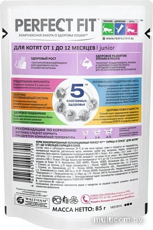 Пресервы Perfect Fit Junior рагу с курицей в соусе 85 г