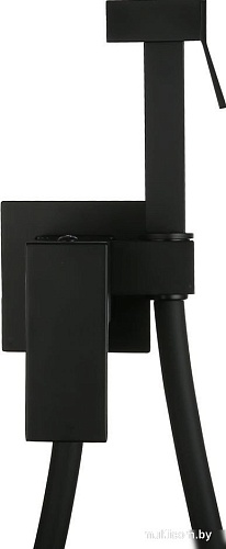 Гигиенический душ Roxen Caspia 500960-B