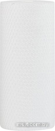 Картридж Гейзер ПФМ-Г 20SL (20/10 мкм)