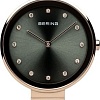 Наручные часы Bering 12034-667