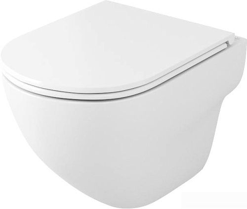 Унитаз OWL 1975 Wave Cirkel-H с сиденьем DP микролифт OWLT190801