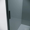 Душевой уголок Grossman Style 120x80x195 120.K33.05.1280.21.10 (черный матовый/тонированное стекло)