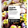 Косметика по уходу за лицом Superfood Salad for Skin Маска для лица мангостин - баланс 25 мл
