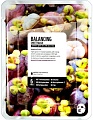 Косметика по уходу за лицом Superfood Salad for Skin Маска для лица мангостин - баланс 25 мл