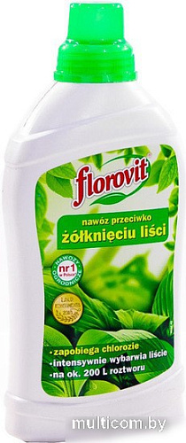 Удобрение Florovit Против пожелтения листьев (1 кг)