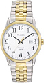 Наручные часы Timex TW2V40100