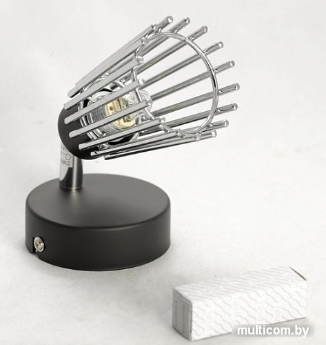 Спот Lussole Lgo GRLSP-9900