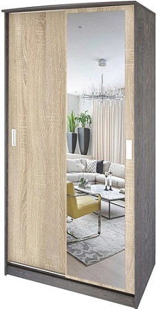 Шкаф-купе Кортекс-мебель Лагуна ШК03-01 (береза/дуб сонома)