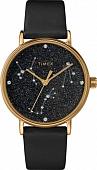 Наручные часы Timex TW2T87600