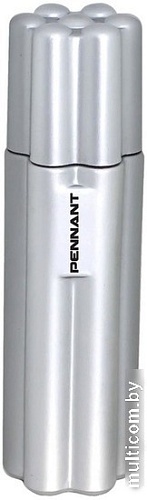 Туалетная вода Dorall Collection Pennant for Men EdT (100 мл)