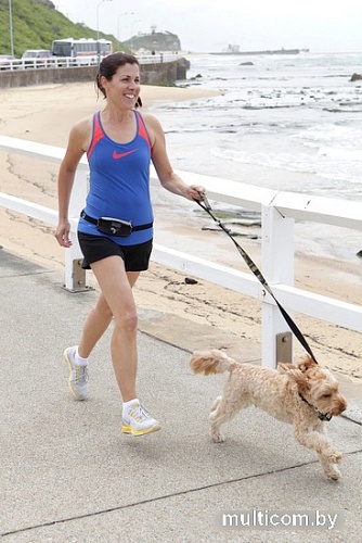 сумка для дрессуры Doog Mini Mini01 (черный)