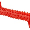 Игрушка для собак Ferplast PA6486 L 86486799