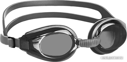 Очки для плавания Mad Wave Nova (серый)