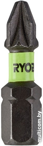 Набор бит Ryobi RISD25PZ2TT (20 предметов)