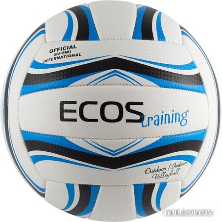 Волейбольный мяч Ecos Training 998196 (5 размер, белый/синий/черный)