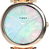 Наручные часы Timex TW2T79200