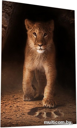 Картина на стекле ArtaBosko WB-06-122-04 (40x60)